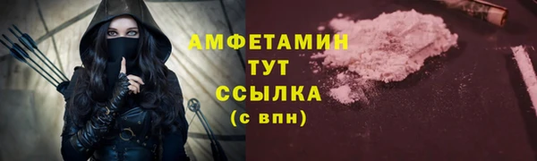 спиды Вяземский