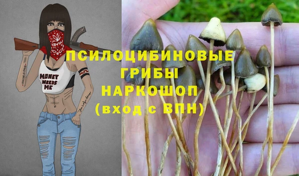 стафф Нязепетровск