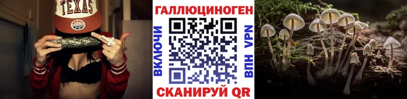 площадка какой сайт  наркошоп  Иннополис  Псилоцибиновые грибы Cubensis 